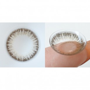 FLANMY Matcha Tart 10片裝